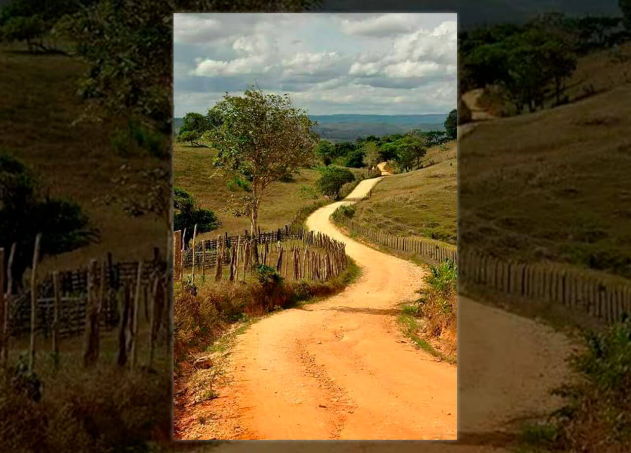 Galeria de Imagens